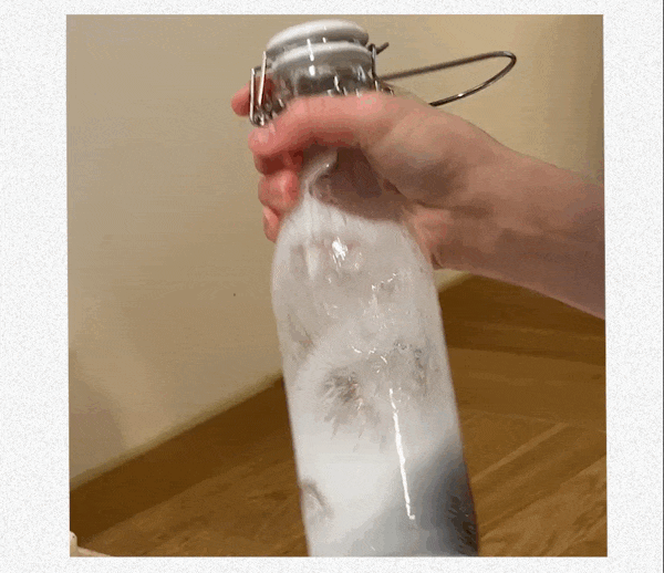 Ringreiniger von mamaforest – das plastikfreie Original für die Küche